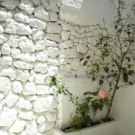 Kostas Iii *